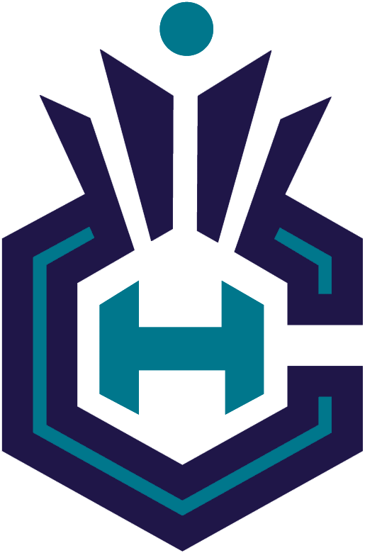 Charlotte Hornets 2014-Pres Alternate Logo fabric transfer version 5